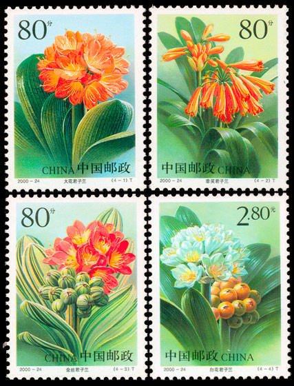 2000-24 《君子兰》特种邮票、小全张
